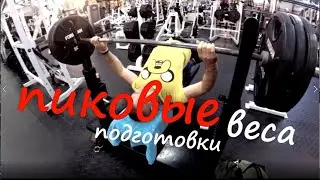 Выход На Максимум. Последняя Подготовка #8