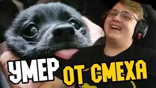 ПЯТЁРКА СМЕЁТСЯ ОТ ПОДБОРКИ ТИКТОКОВ