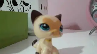LPS-respondiendo preguntas episodio #2