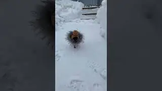 🤣 АНЯ, МАРТИНИ ПРИНЕСЛИ 🤣 