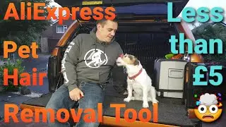 How to Remove Pet Hair FAST, EASY, & CHEAP