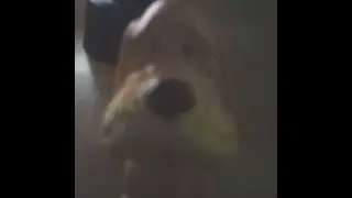 ЛЕСТПЛЕЙ НА РЕАКЦИЮ НА ЛЕСТПЛЕЙ НА ВЕНТИЛЯТОР