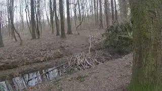 Наш мир подходит К Концу (3)