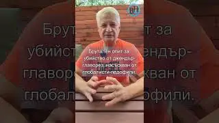 За пушките, които политиците насочват срещу самите себе си