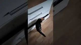 The Masha Cat secretly opens the Kommode 😻