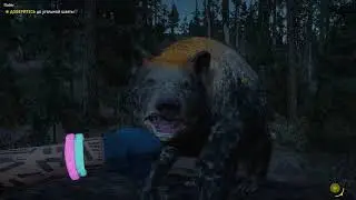 I KILL BEAR