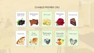 Discover the vineyard of Chablis through the educational game Unlock Chablis - UK