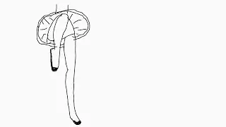 🩰Dancer on Pointe🩰~2d Animation