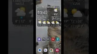 How to pay with Amazfit watches (Balance, T-REX 3) 