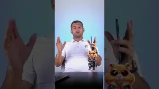 Хамстер ай гичо сум миева ?