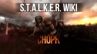S.T.A.L.K.E.R. WIKI: СНОРК