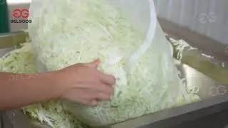 Fresh Vegetable Washing Cutting Processing Solution