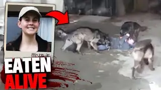 This Woman Went Jogging In Safari Park & Gets EATEN ALIVE By Wolf Pack!