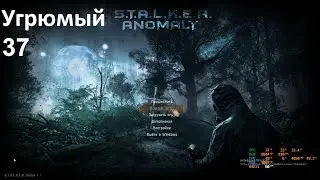 37 Угрюмый ANOMALY 1.5.1 REDUX 1.1 -