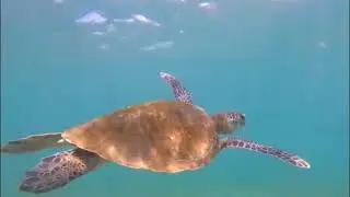 Sri Lanka Trailer By Clipper Travel 03