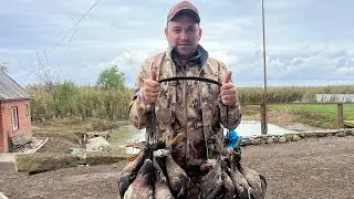 DUCK HUNTING 🦆🦆🦆. LONG-AWAITED TROPHIES. Krasnodar Krai, Bryukhovetsky District.