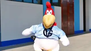 CASTORCITO AYACUCHANO Y EL GRUPO WANTAR - Soy Vigiliano