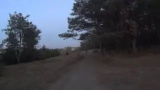 Прогулка