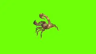 Right and left hand attacking scorpion green screen।green screen।Scorpion green screen। animation