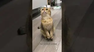 И снова…