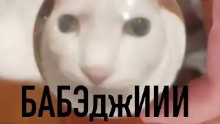 БАБЖ