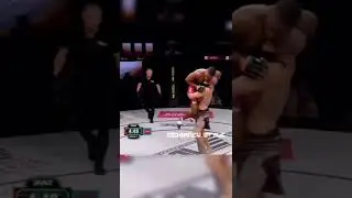 Чимаев новый чемпион