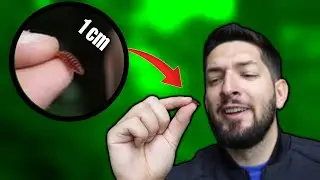 Jak ŁOWIĆ takimi PRZYNĘTAMI? - Czyli BIAŁORYB na SPINNING