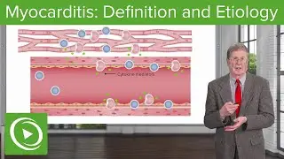 What is Myocarditis and What Causes It?