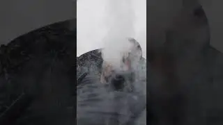 #отдых #кальян#люблюсвоюработу