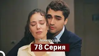 Зимородок 78 Cерия (Русский дубляж)
