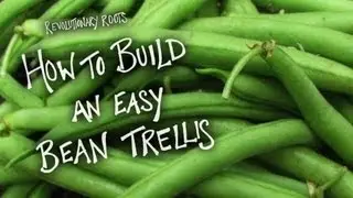 How to Build an Easy Bean Trellis - Farming/Gardening Lesson - Revolutionary Roots