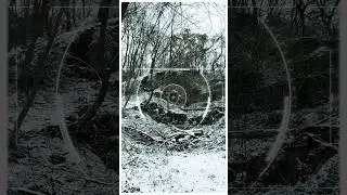 How I find photographs in winter woodlands 