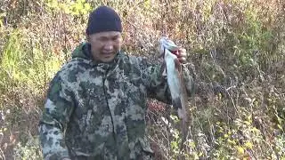 Рыбалка и отдых у таежной речки. Якутия.