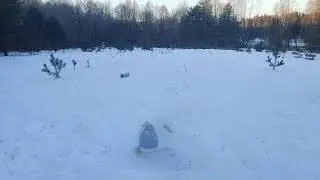 Чайник РАЗЛЕТЕЛСЯ от 10 корсара