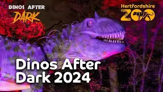 DINOS AFTER DARK IS BACK! 🦖