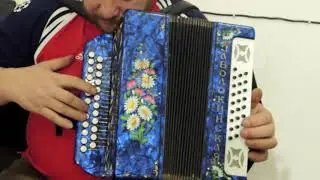 РАЗБОРЫ! Под гармонь! Вологда! Как играть и петь!!!