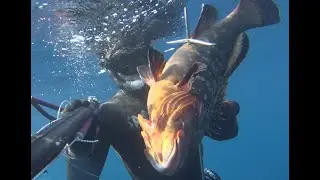 Pesca in Apnea - La mia Palestra Subacquea