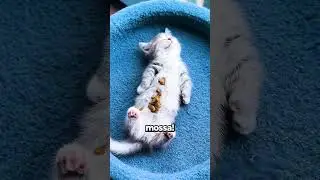 She Fell Asleep... Seriously?!😳🙀