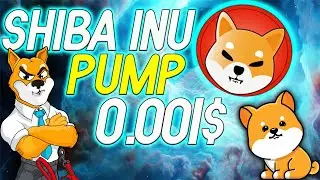 SHIBA INU НОВЫЙ ПАМП! КАК ВЫСОКО ПОДНИМЕТСЯ SHIB? ПОЧЕМУ ШИБА РАСТЕТ?