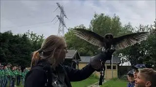 WEEKENDKAMP 2019 SIONIEHORDE SCOUTING HARTELGROEP!