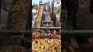 Ability and creativity with great work 