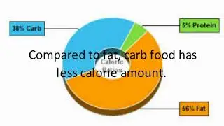 Difference Between Birds and Animals ! Calories and Carbs !  Biodegradable and Compostable ! Berries
