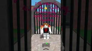 What do you like (comment) Roblox