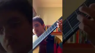 Bordões ao Luar 