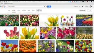 Searching for images based on usage rights - Google