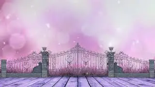 VIDEO BACKGRAUND   GREEN SCREEN21
