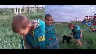 классные пёсики на детской площадке 😍😍😍👍