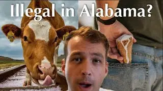 Weirdest Laws in Alabama