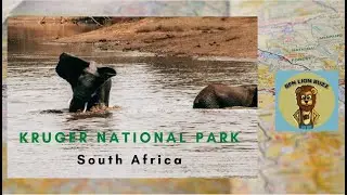 Kruger National Park  South  Africa