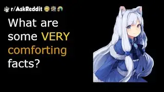 What are some VERY comforting facts? - reddit stories